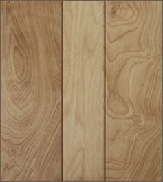 American Birch #67953 American Birch #67953
